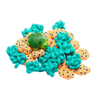 Bubble Coral